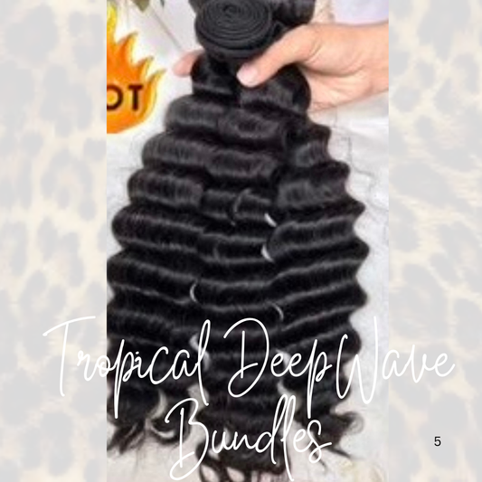 Tropical DeepWave Bundles